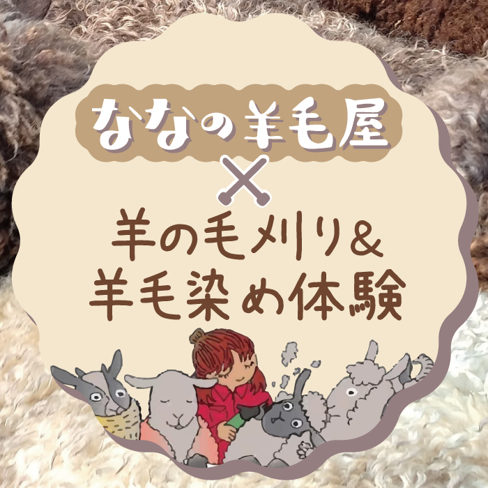 【町田店】ななの羊毛屋×okadaya町田店「羊の毛刈り＆羊毛染め体験」