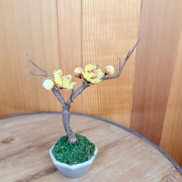 【本店11F】1/23 造花小物『蝋梅のミニ盆栽』