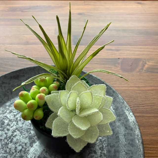 【本店11F】8/28 造花小物『多肉植物』