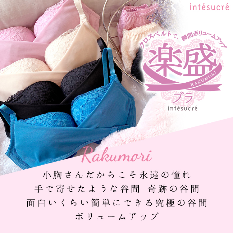 Ebt002 アンテシュクレ Intesucre 楽に盛れる 楽盛ブラ ブラジャー単品 全4色 B F 65 75 下着 ランジェリーの専門店 アンテシュクレ Intesucre