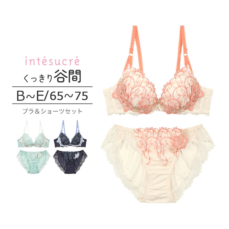 IBT317｜アンテシュクレ intesucre ブラセット くっきり谷間メイク BCDEカップ アンダー65/70/75cm