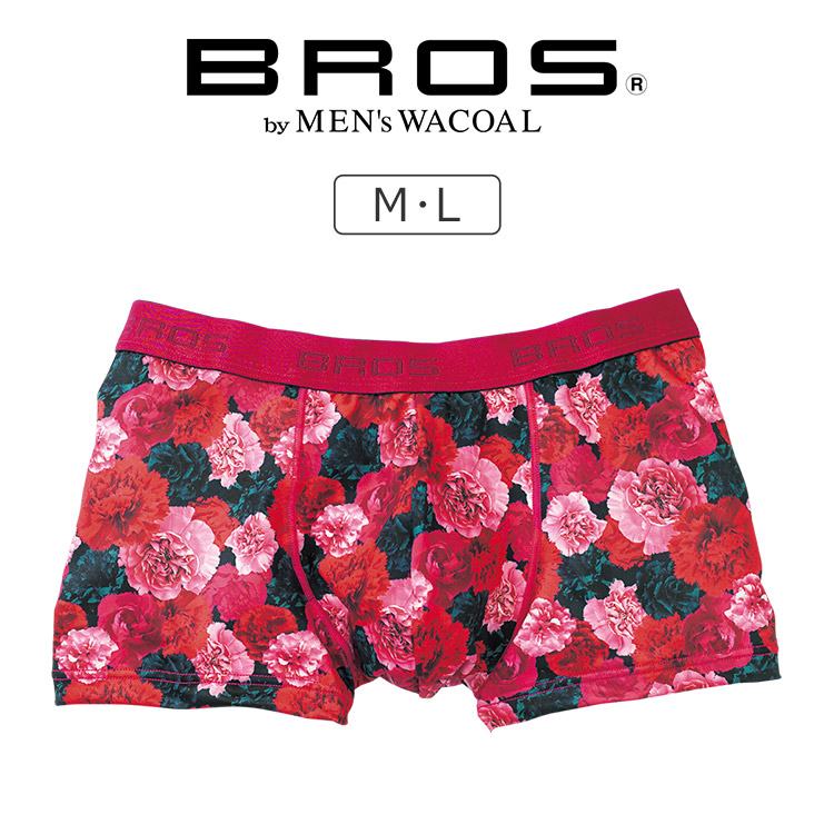 ワコール ブロス ブリーフ Bros ワコールメン バイ ハイレッグ