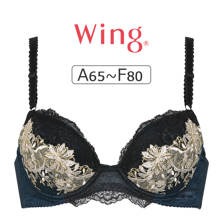 Wacoal ワコール Wing  D65　3点