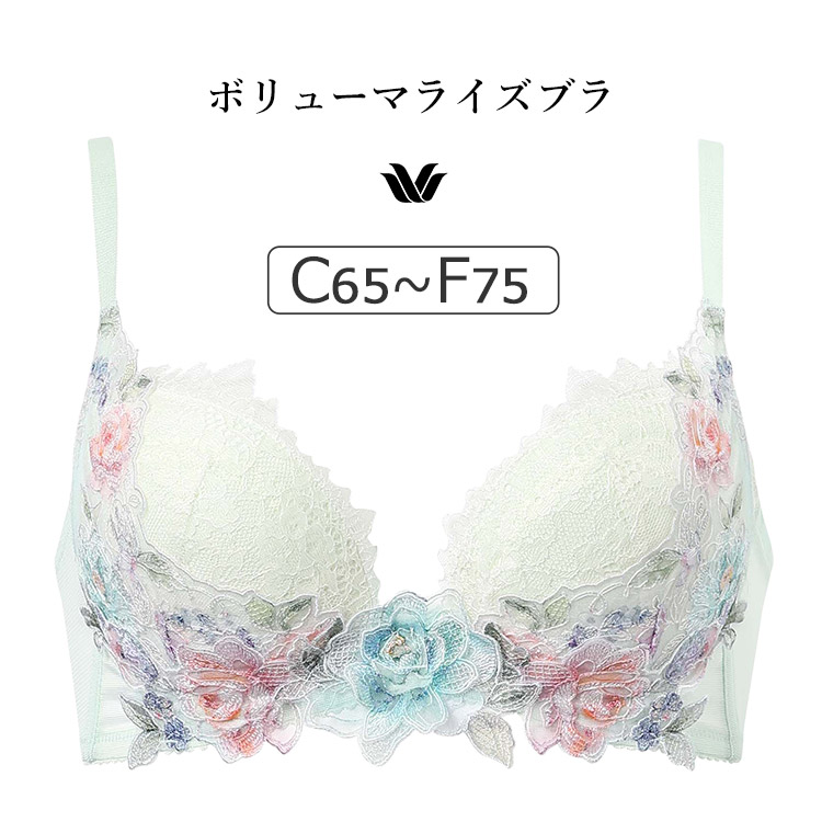 BXD722｜ワコール プレミアム 22G BXD422シリーズ ボリューマライズブラ ブラジャー単品 CDEFカップ  アンダー65/70/75cm