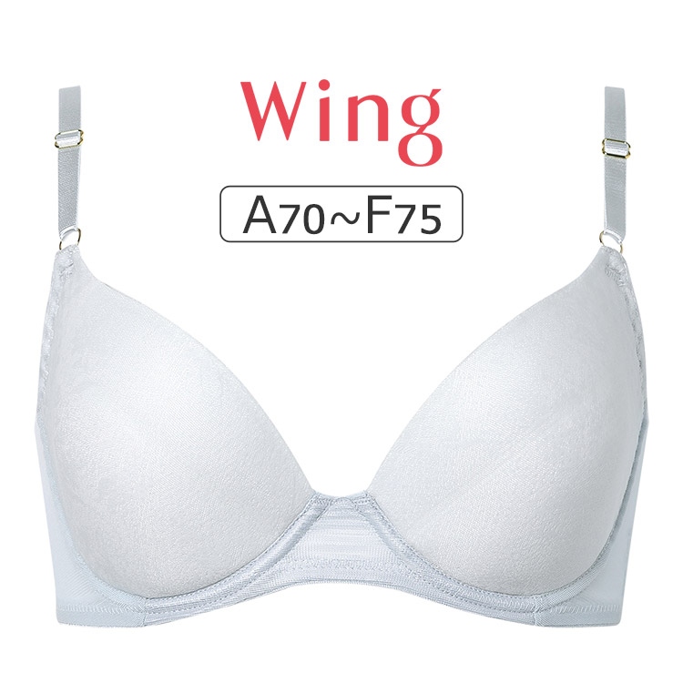 KB2873|ワコール ウイング 夏のうすかるブラ KB2873シリーズ ブラジャー単品 ABCDEFカップ アンダー65/70/75/80/85cm