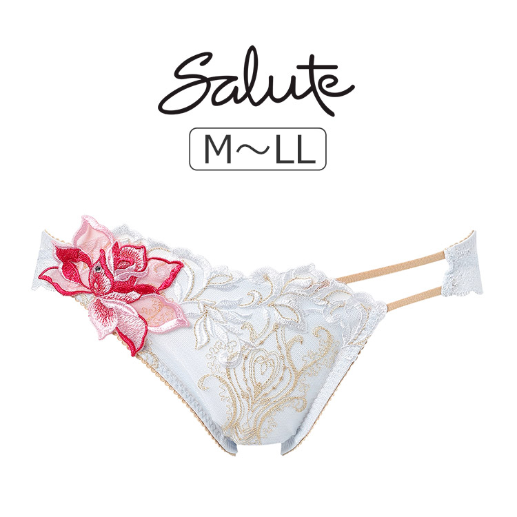 PTJ738｜ワコール サルート 38グループ 38G スタンダードショーツ M/L/LL