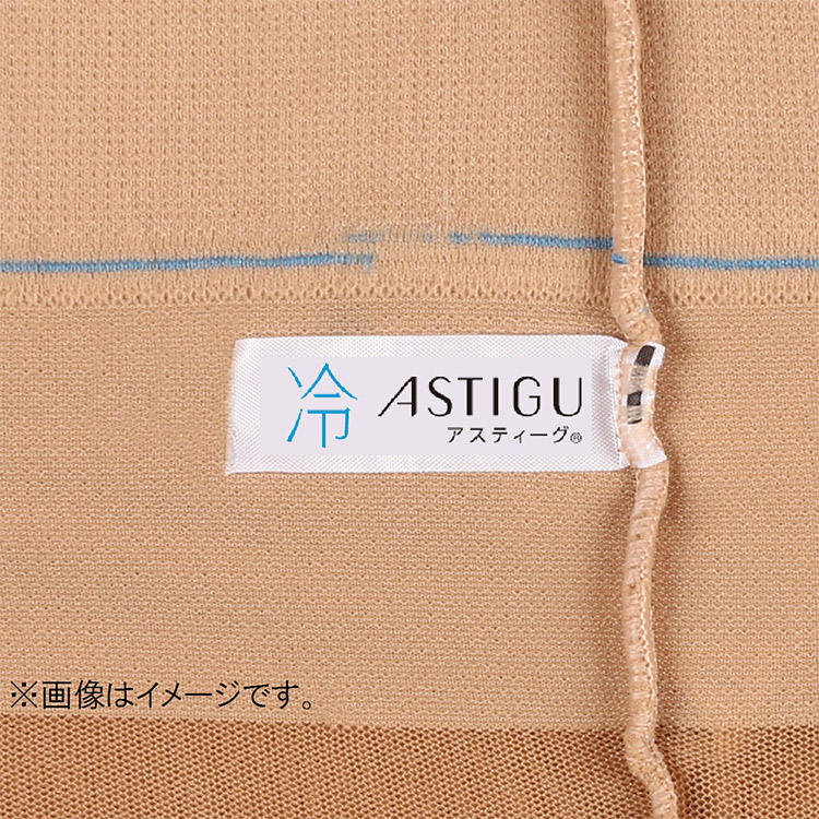 AP6007｜アツギ ASTIGU アスティーグ 【冷】涼しさキープ ストッキング 全3色 M-L/L-LL