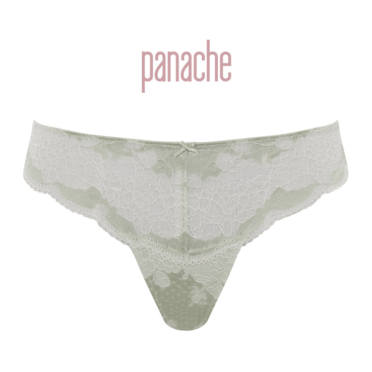 7259｜panache パナシェ Clara Ｔバックショーツ 全1色 M-XXXL