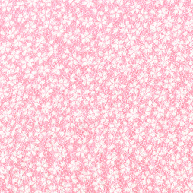 5851.桜色