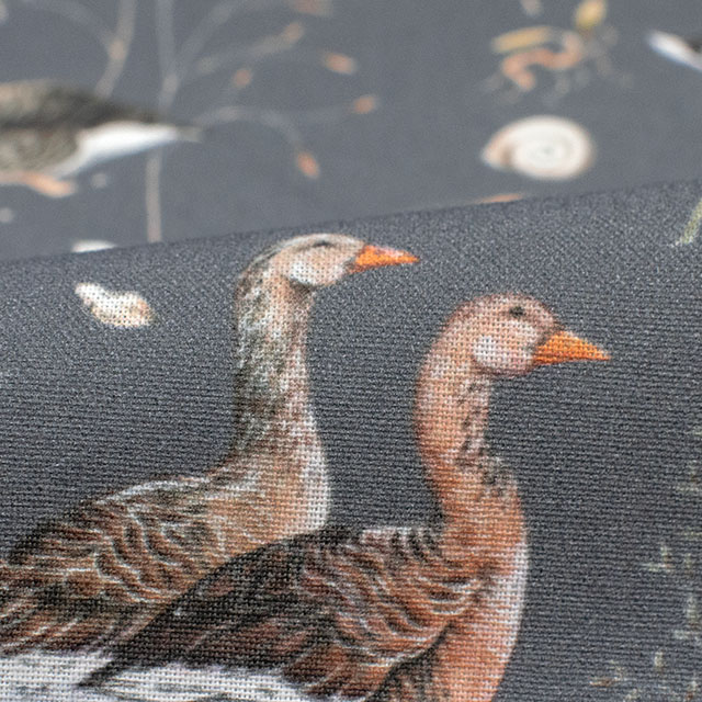 生地 acufactum-アクファクトゥム- グレー・グース(HC-ACU3523) 855.グレー 09Ac04_