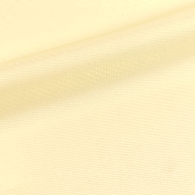 370.イエロー系