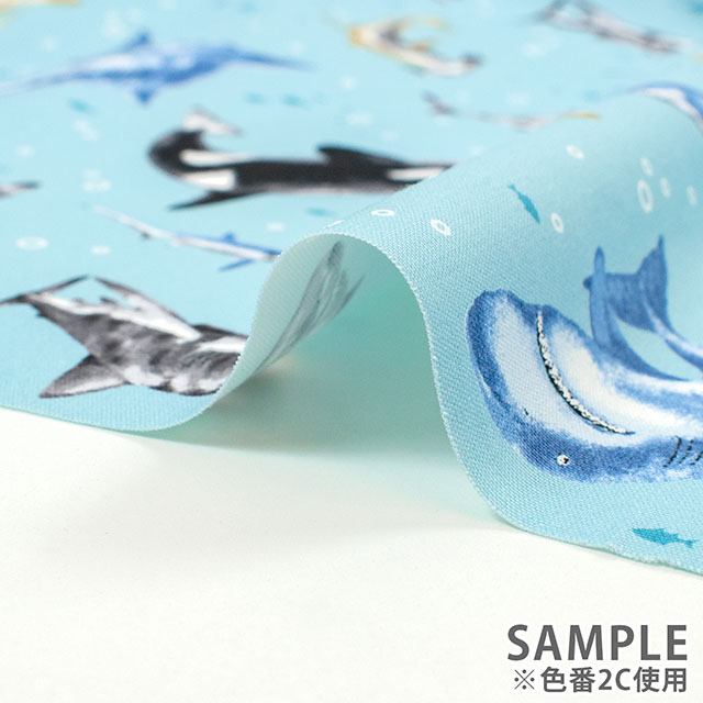 生地 オックスキッズプリント サメ柄(AP61801H) 2C.サックス 09Ae99_