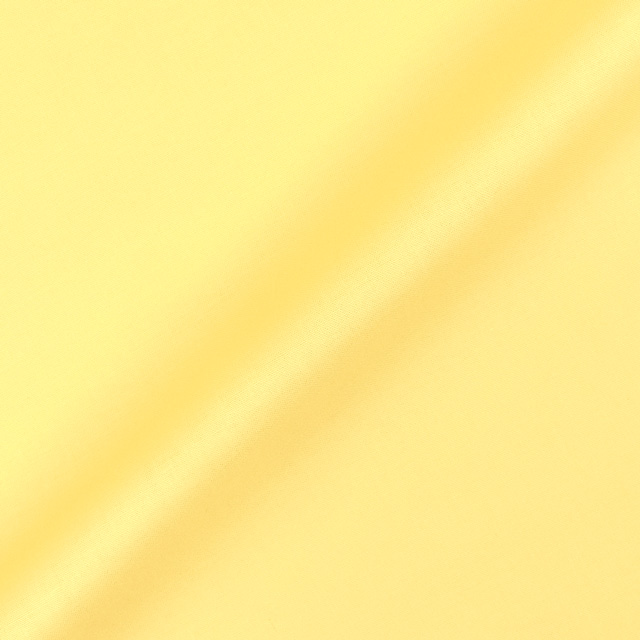 106.パステルイエロー