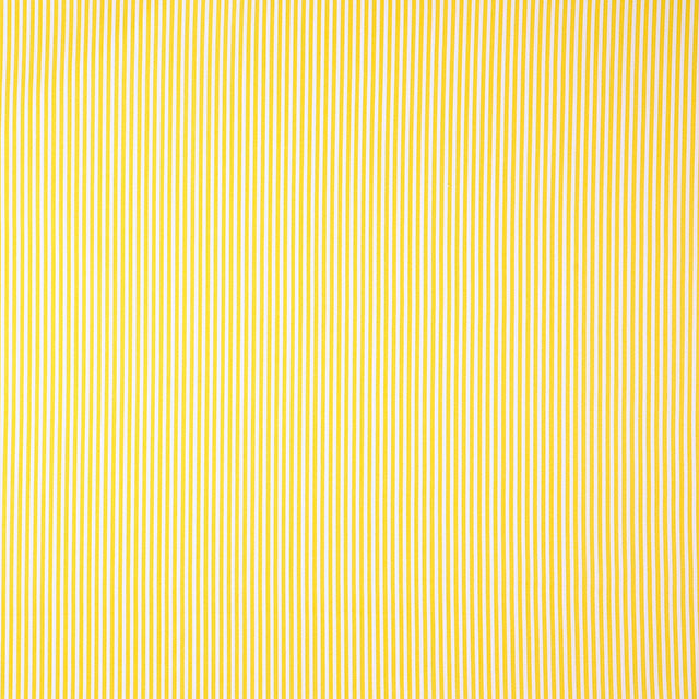 1.黄色×白