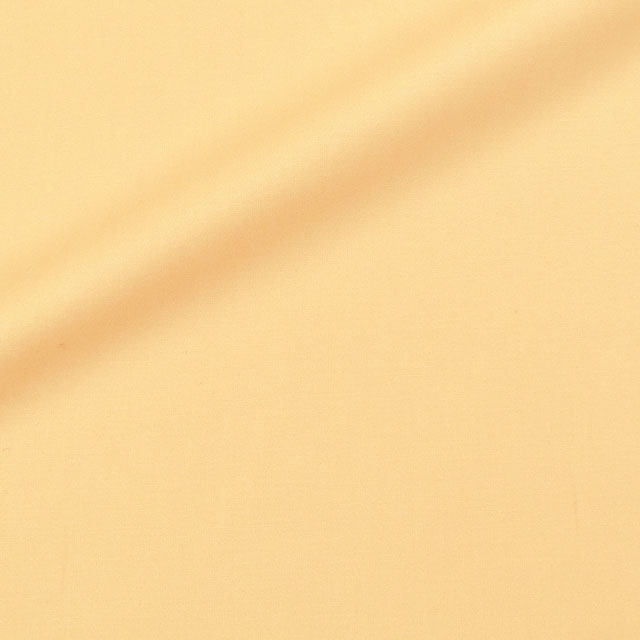 205.エッグ