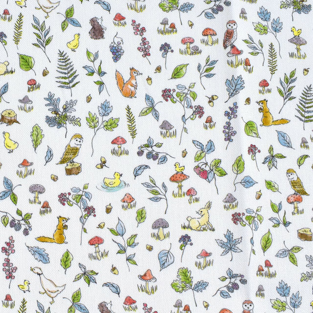 生地 LIBERTY FABRICS リバティ・ファブリックス 11号帆布