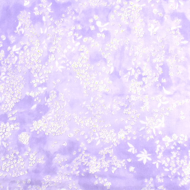 生地 naniIRO-ナニイロ- Lei nani/ダブルガーゼ(EGX-11060) B.パープル系×パール 99Zz99_