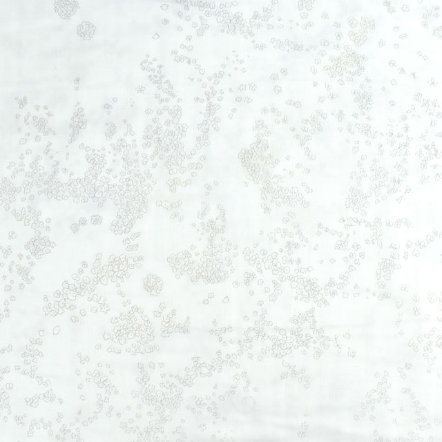 生地 naniIRO-ナニイロ- Lei nani/ダブルガーゼ（EGX-11060） D.ホワイト系×パール (H)_k4_