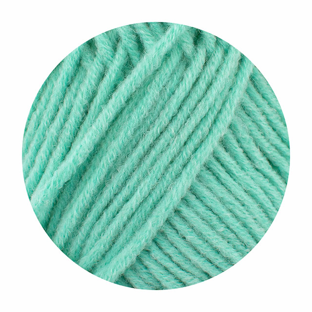 毛糸 Anywool・エニーウール 213.ベビーミント 06Co99_