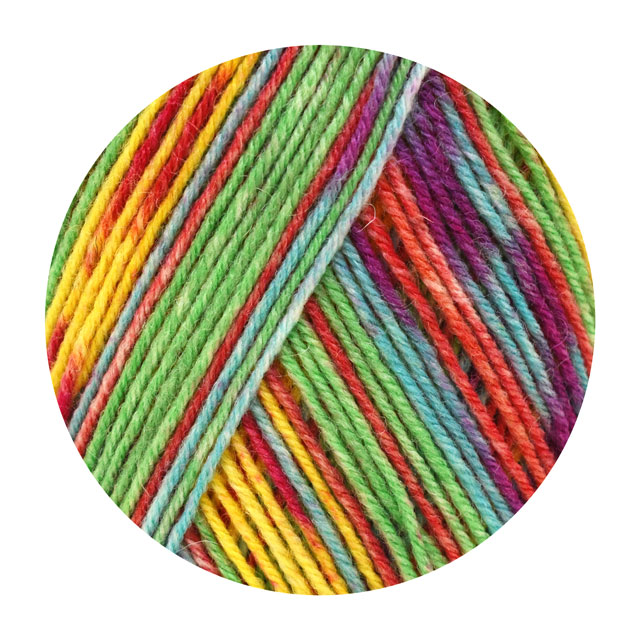 毛糸 Opal-オパール- 秋のささやき 4ply/4本撚り 11257.さえずり 06Co99j