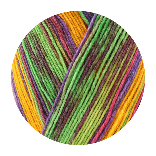 毛糸 Opal-オパール- クレイジーウォーターズ 4ply/4本撚り 11313.クルーズ 06Co99j