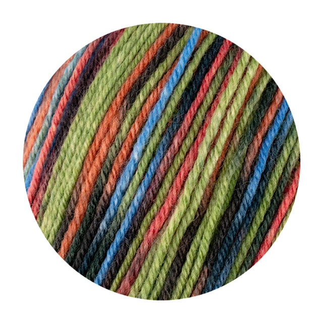毛糸 Opal-オパール- ショービズ 4ply/4本撚り 11397.アンコール 06Co99j