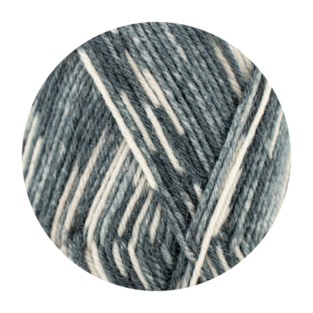 毛糸 Opal-オパール- レーゲンヴァルト21 4ply/4本撚り 11604.ハミルトンガメ 06Co99j