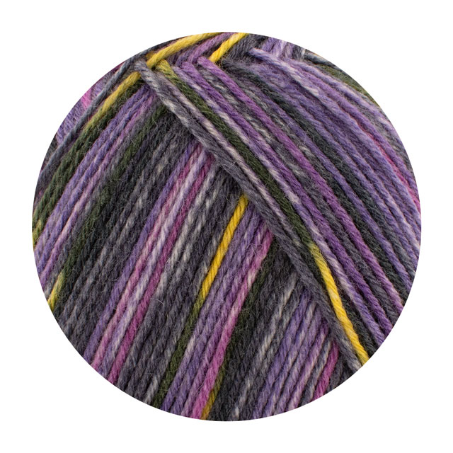 毛糸 Opal-オパール- レーゲンヴァルト21 6ply/6本撚り 11611.バンパイアクラブ 06Co99j