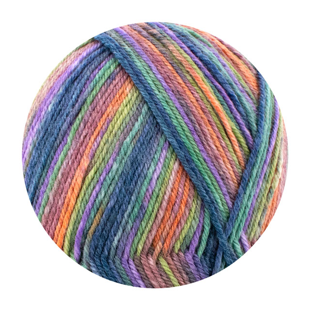毛糸 Opal-オパール- ファインメリノウール2 4ply/4本撚り 11634.おやつメリノ 06Co99j