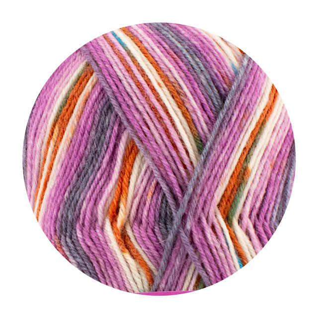 毛糸 Opal-オパール- 真夜中の夢 4ply/4本撚り 11647.ロバの夢 06Co99j