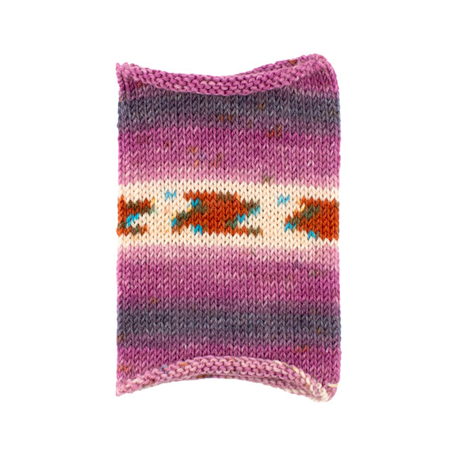 毛糸 Opal-オパール- 真夜中の夢 4ply/4本撚り 11647.ロバの夢 06Co99j