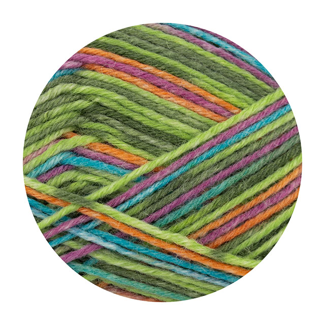 毛糸 Opal-オパール- セレブレーション 6ply/6本撚り 11690.キュウリカクテル 06Co99j