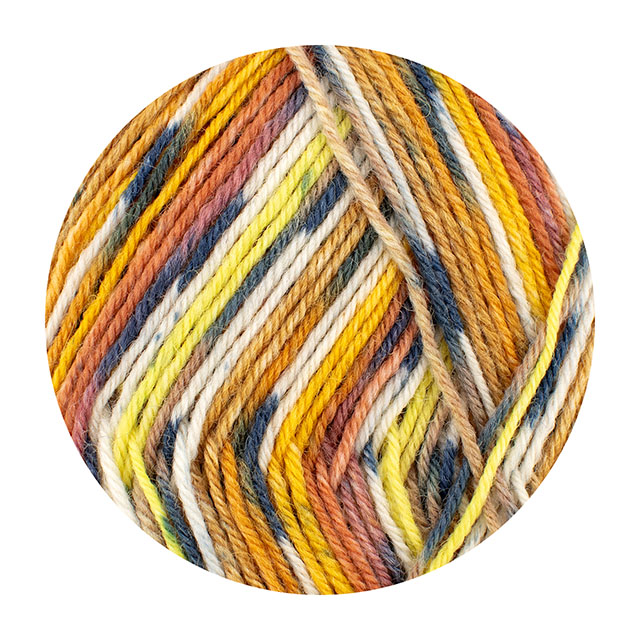 毛糸 Opal-オパール- ベストオブオパール2026 4ply/4本撚り 5003.ブラジル 06Co99j