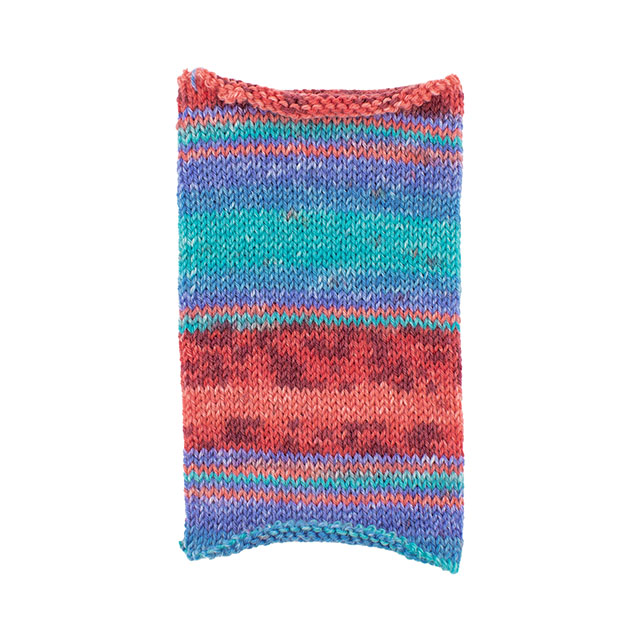 毛糸 Opal-オパール- レーゲンヴァルト22 4ply/4本撚り 11727.川辺の歌い手 06Co99j