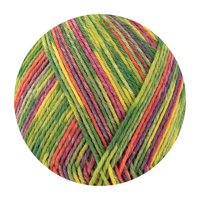毛糸 Opal-オパール- レーゲンヴァルト22 6ply/6本撚り 11734.ブリーダー 06Co99j