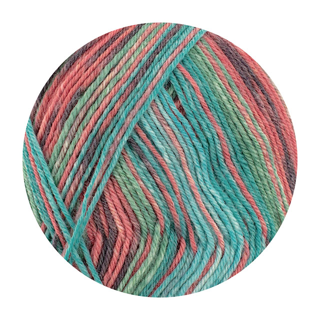 毛糸 Opal-オパール- 30周年記念 4ply/4本撚り 11740.スタート 06Co99j