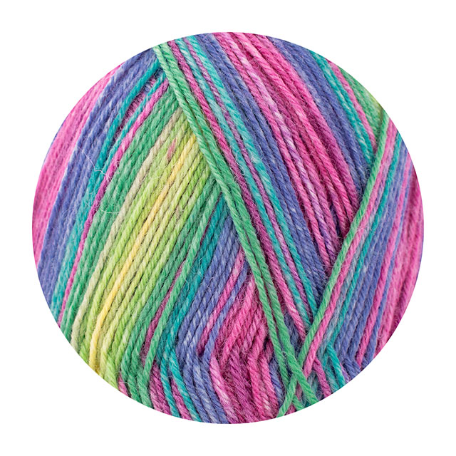 毛糸 Opal-オパール- 30周年記念 4ply/4本撚り 11746.毛糸アート 06Co99j