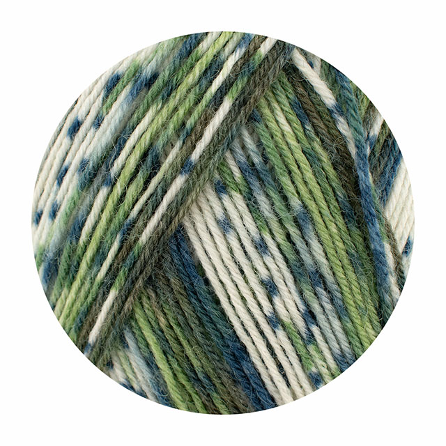 毛糸 Opal-オパール- 気仙沼カラー 4ply/4本撚り KFS108.森/グリーン系マルチカラー 06Co99j