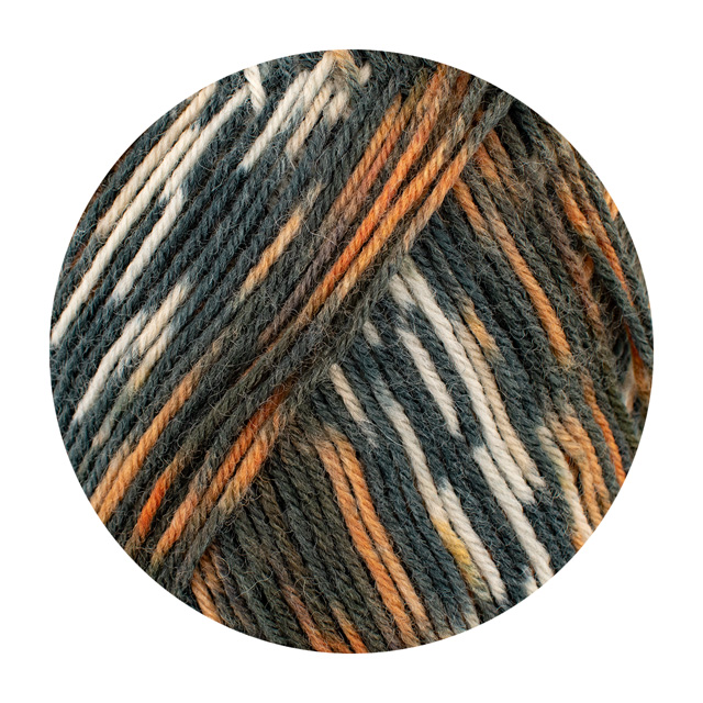 毛糸 Opal-オパール- KFS気仙沼水族館 4ply/4本撚り KFS255.レオパードフィッシュ 06Co99j