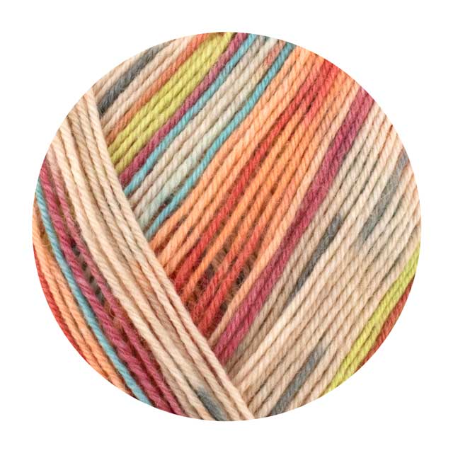 毛糸 Opal-オパール- KFS オスカーたちのクローゼット 4ply/4本撚り KFS283.読書タイム 06Co99j