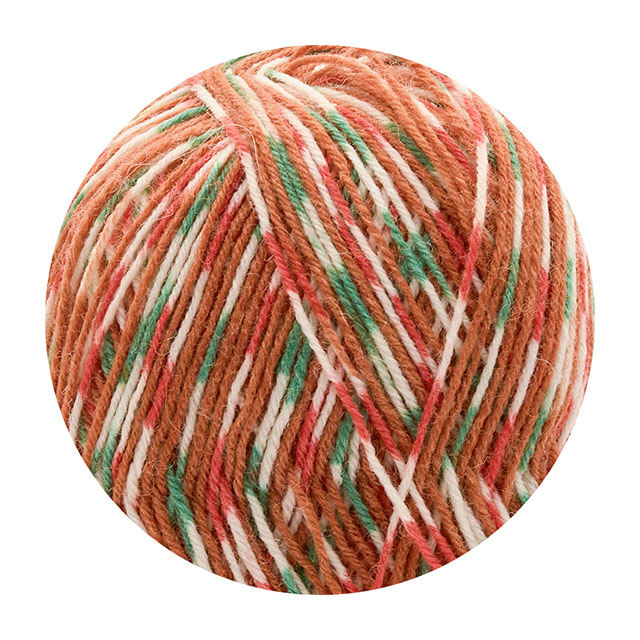 毛糸 West Yorkshire Spinners-ウエストヨークシャースピナーズ- Signature 4ply・シグネチャー4プライ 1109.Gingerbread 06Co99_