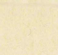 フェルト羊毛 ハマナカ ナチュラル シロップシャー（H440-003-302） (H)_5b_