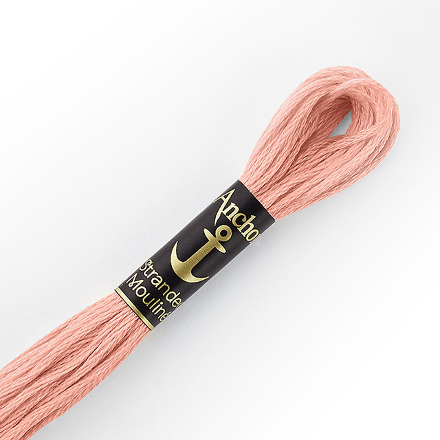 刺しゅう材料 Anchor-アンカー- 刺繍糸 25番（342100） 色番8 (H)_5a_