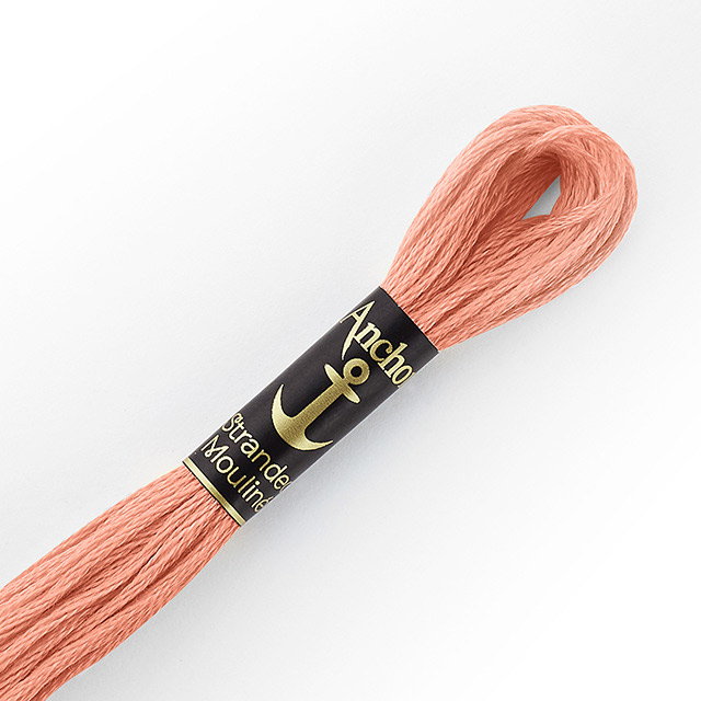 刺しゅう材料 Anchor-アンカー- 刺繍糸 25番（342100） 色番9 (H)_5a_