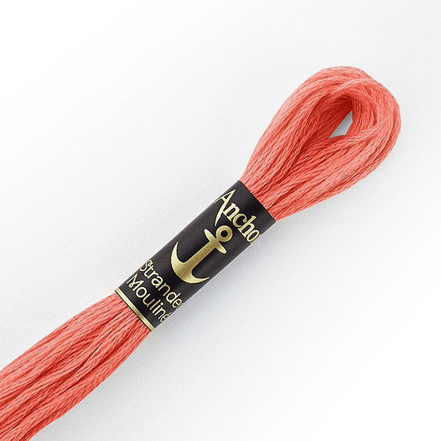 刺しゅう材料 Anchor-アンカー- 刺繍糸 25番（342100） 色番10 (H)_5a_