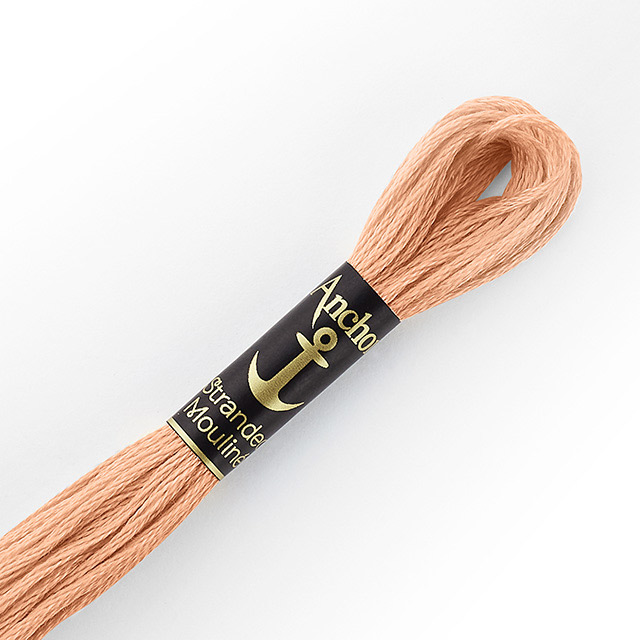 刺しゅう材料 Anchor-アンカー- 刺繍糸 25番（342100） 色番9575 (H)_5a_