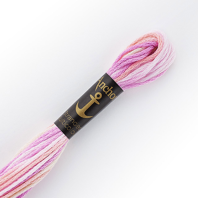 刺しゅう材料 Anchor-アンカー- 刺繍糸 25番 マルチカラー（342101） 色番1320 (H)_5a_