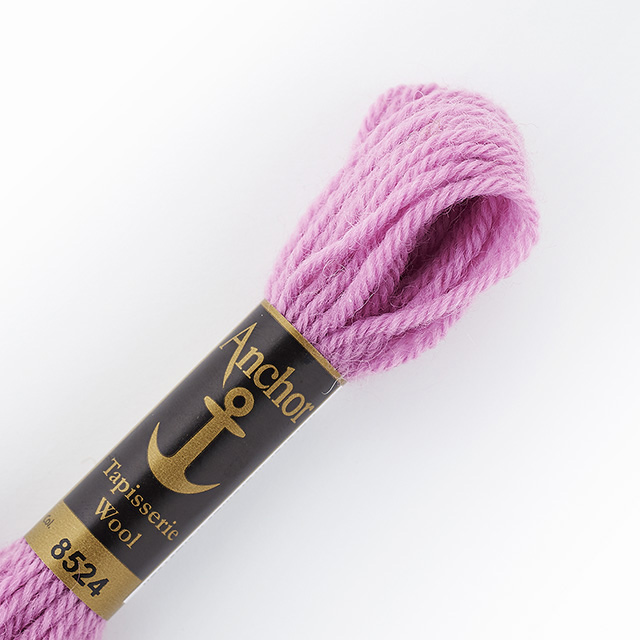 刺しゅう材料 Anchor-アンカー- タピセリーウール/ウール刺繍糸（342301） 色番8524 (H)_5a_