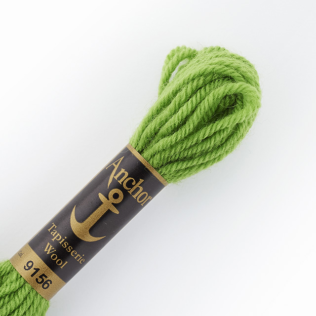 刺しゅう材料 Anchor-アンカー- タピセリーウール/ウール刺繍糸（342301） 色番9156 (H)_5a_
