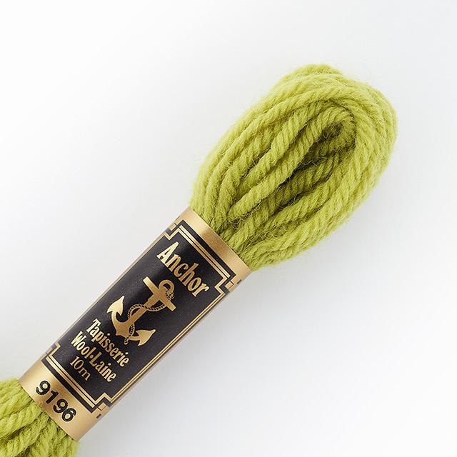 刺しゅう材料 Anchor-アンカー- タピセリーウール/ウール刺繍糸（342301） 色番9196 (H)_5a_